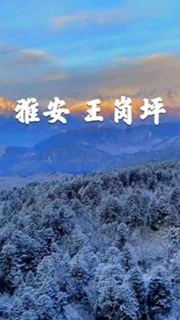 小猫钓鱼开船版最新版下载
